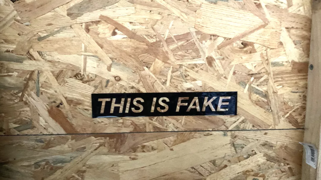 "This is Fake": Wandimpression aus der Nudel 
